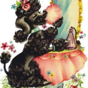 Meet your Posher, Rose